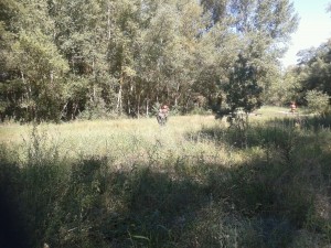 IMG-20150906-WA0022