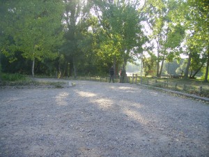 PICT0699