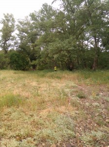 IMG 20160522 104645  