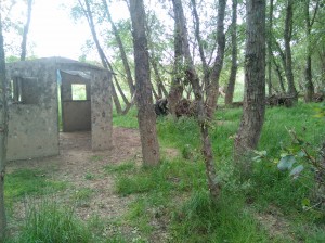 IMG 20160522 105817  