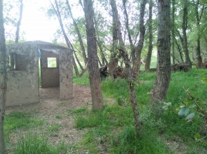 IMG 20160522 105819  
