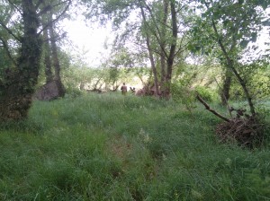 IMG 20160522 105858